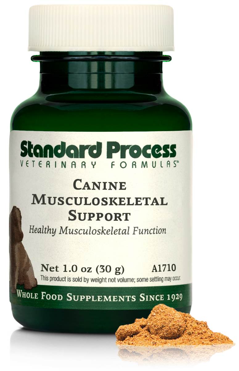 A bottle of Canine Musculoskeletal Support, a powder supplement for dogs’ muscles, ligaments and bone health, next to an image of the powder supplement.