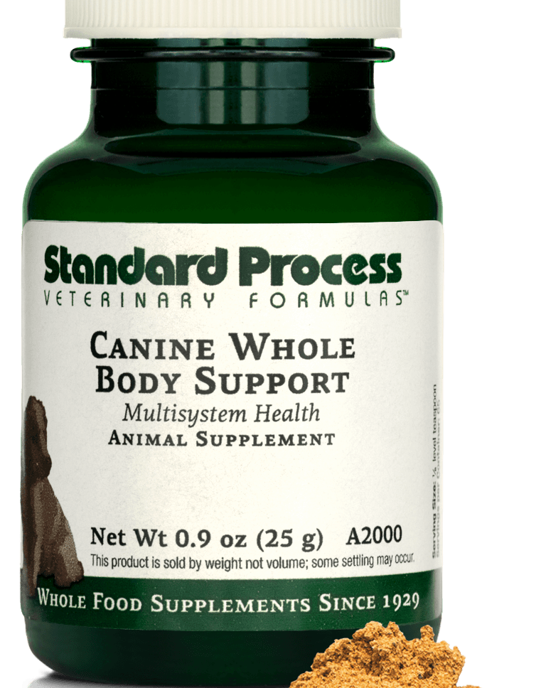 Canine Whole Body Support, 25 g