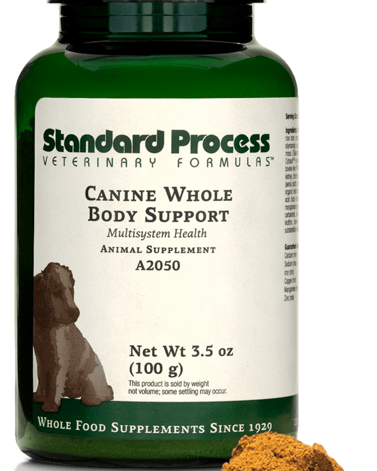 Canine Whole Body Support, 100 g