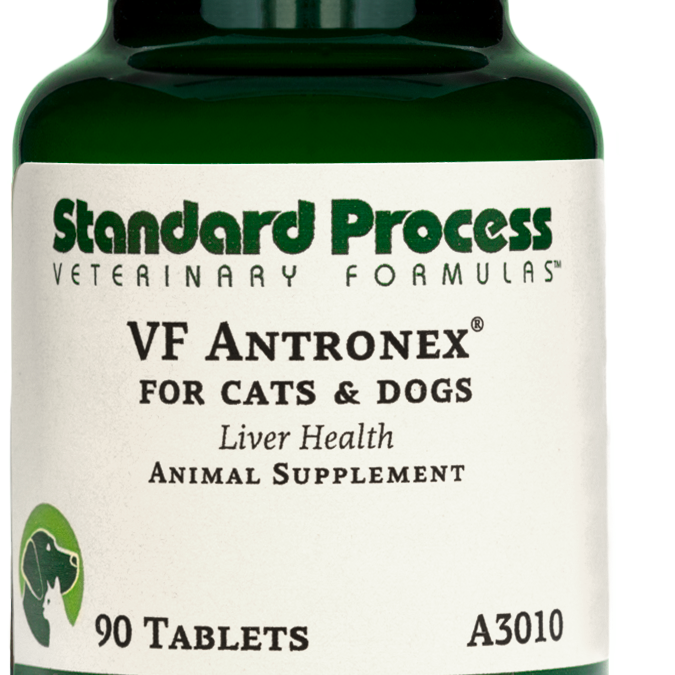 VF Antronex® for Pets, 90 Tablets