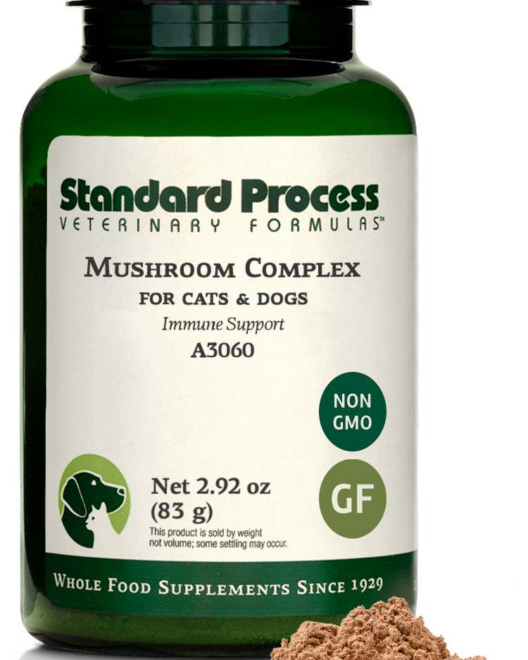 Mushroom Complex, 2.92 oz (83 g)