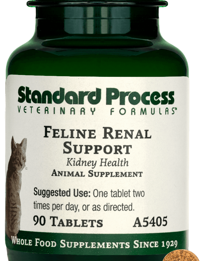 Feline Renal Support, 90 Tablets