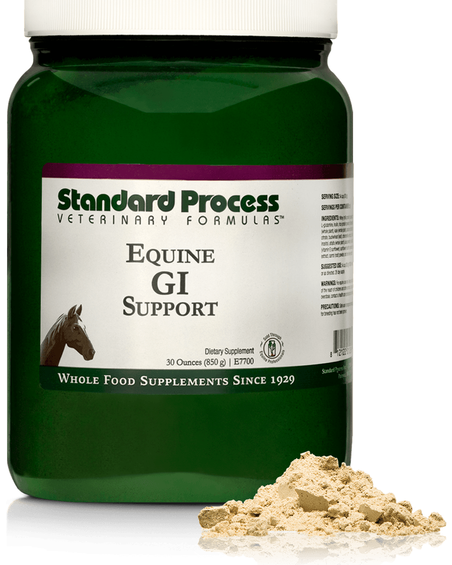 Equine GI Support