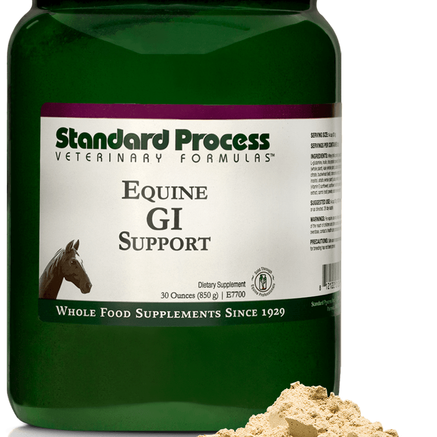 Equine GI Support