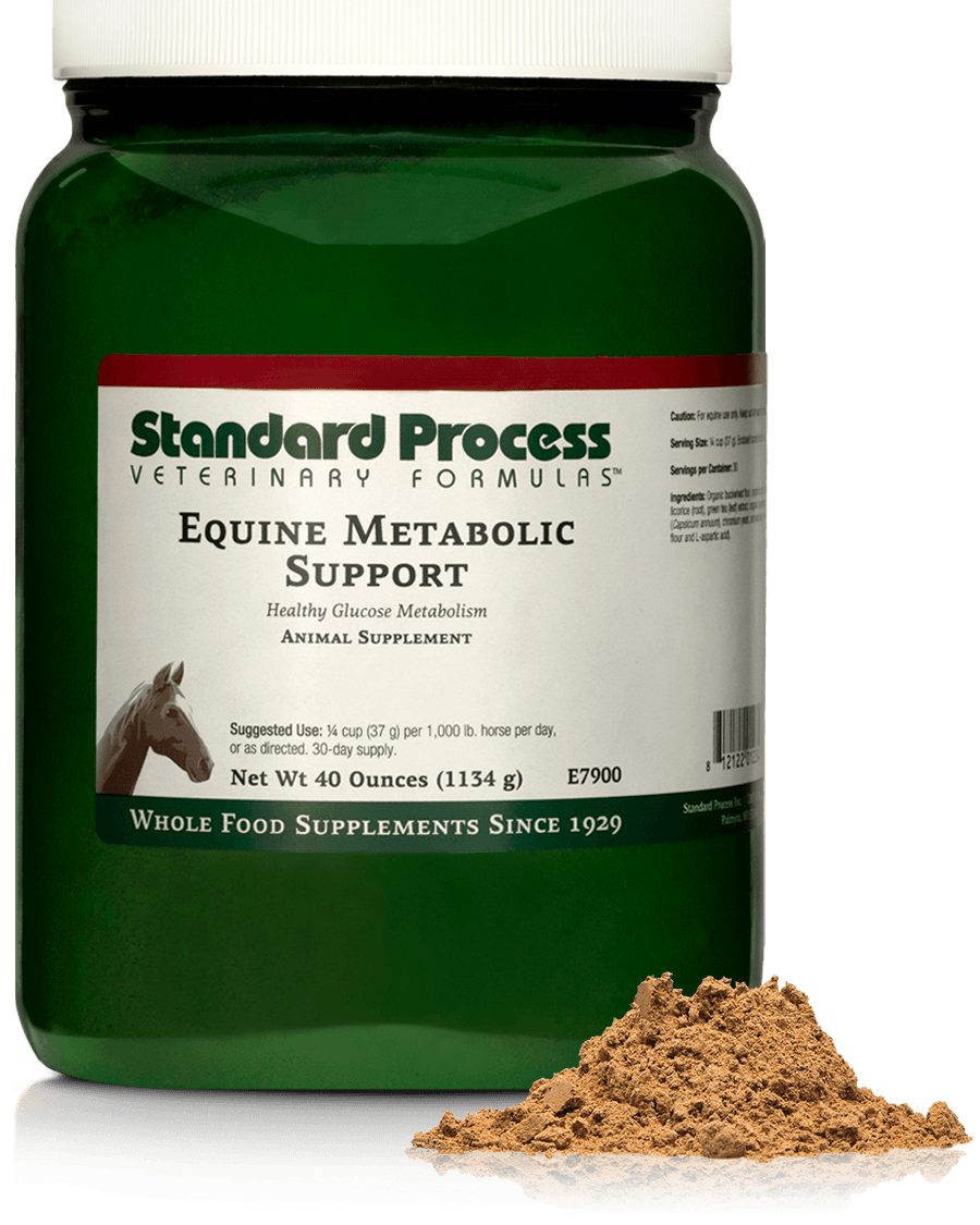 Equine Metabolic Support, 40 oz (1134 g)