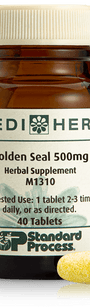 Golden Seal 500mg, 40 Tablets